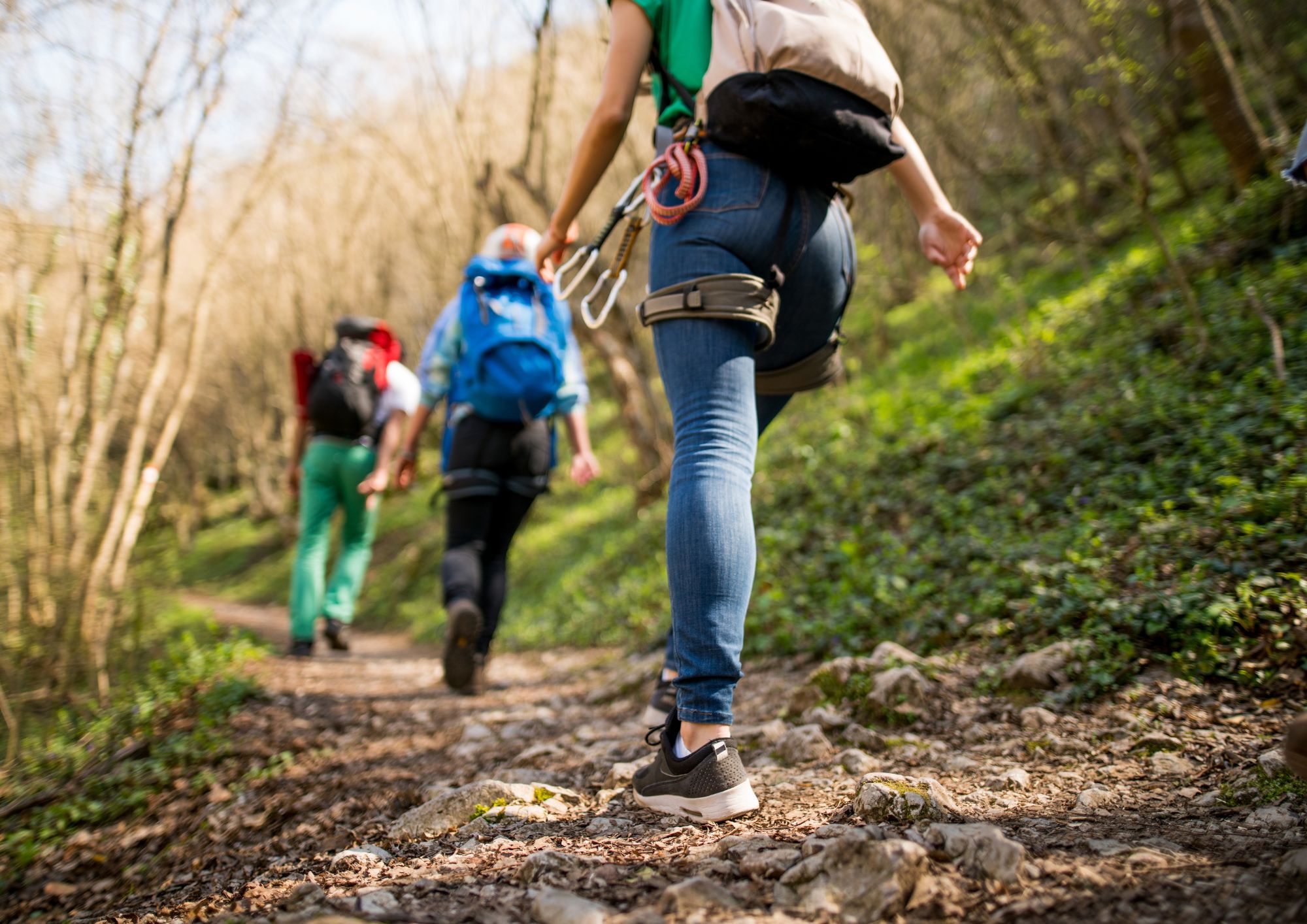 טיול לילי לילדים